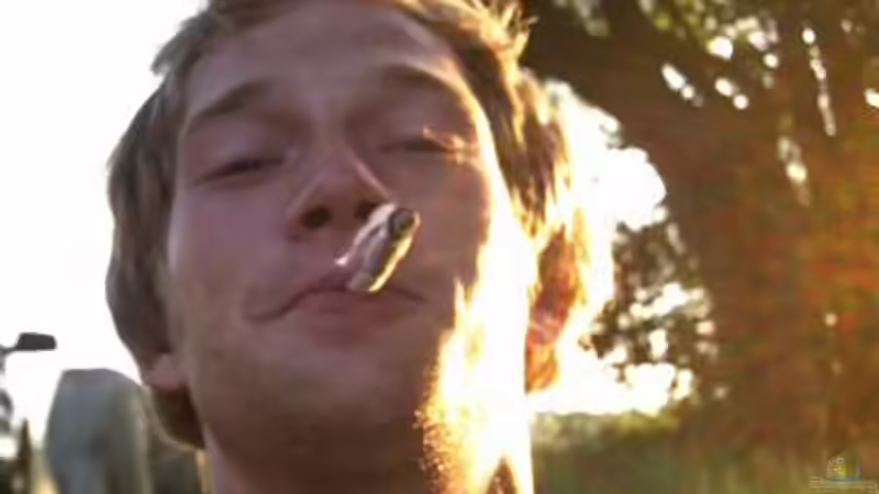 Userbild von Klabuster von Klabuster (41)