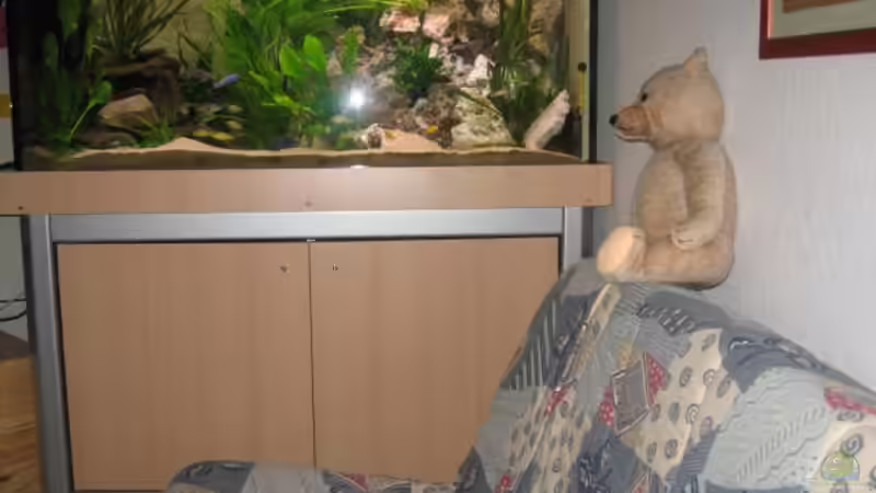 Userbild von Klaus Hagemann von Klaus Hagemann (17)