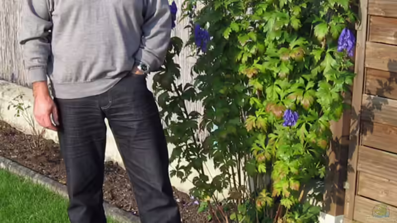 Userbild von Klaus Kastl von Klaus Kastl (41)