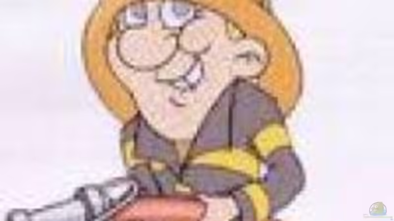 Userbild von Klumpen von Klumpen (32)