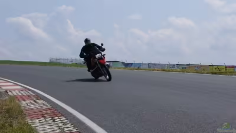 Userbild von kNaLLeR von kNaLLeR (20)