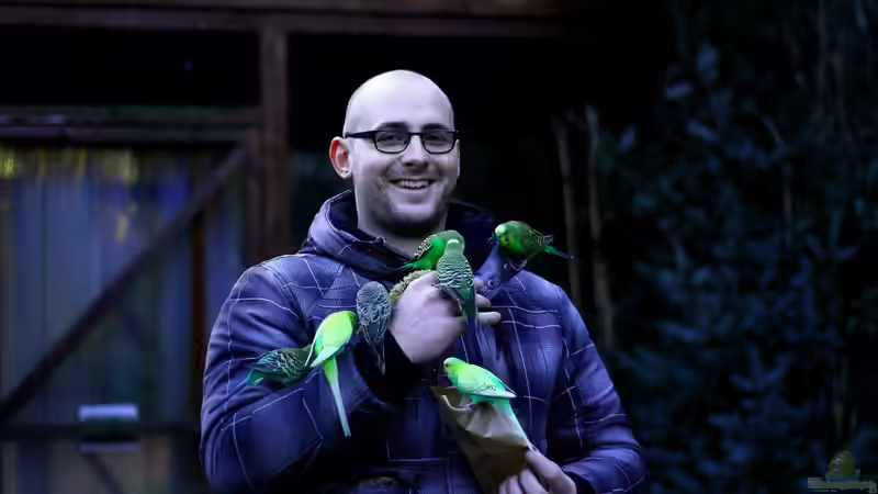 Userbild von Koehler von Koehler (70)