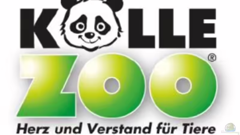 Userbild von Koelle-Zoo von Koelle-Zoo (18)