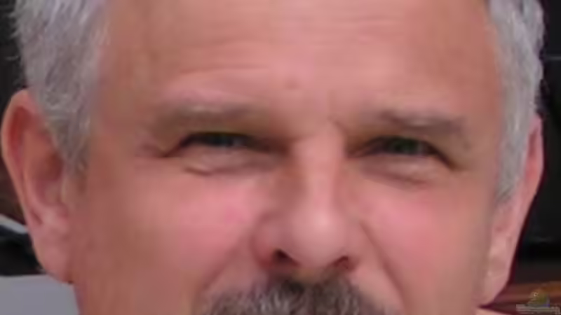 Userbild von Kunibert Schäfer von Kunibert Schäfer (20)