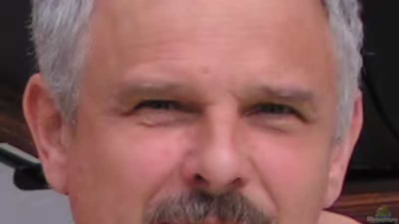 Userbild von Kunibert Schäfer von Kunibert Schäfer (42)