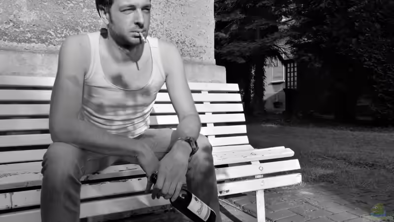 Userbild von Lance Hardwood von Lance Hardwood (84)