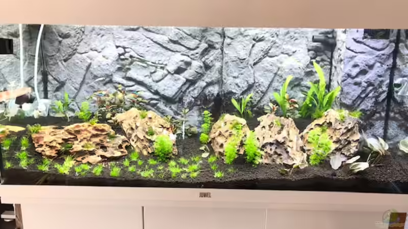 Userbild von Lanzelot von Lanzelot (4)