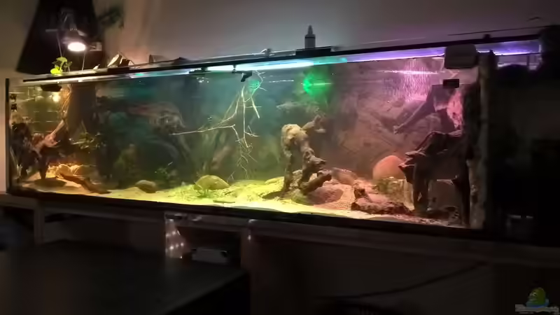 Userbild von Lars 300l 1. von Lars 300l 1. (22)