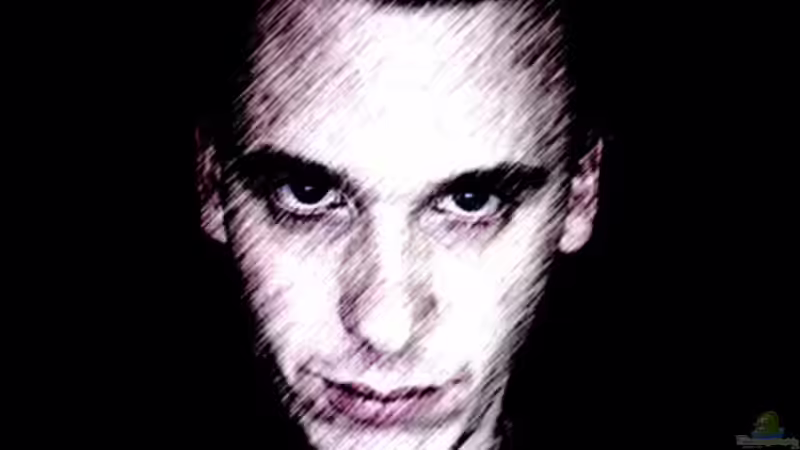 Userbild von Lars T. von Lars T. (23)