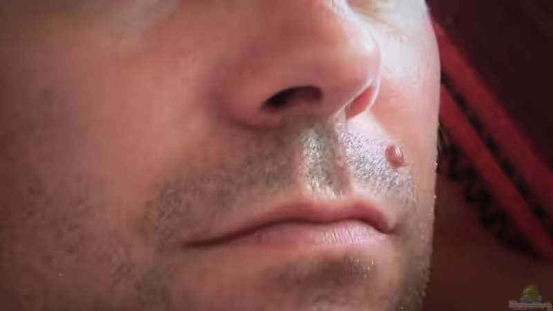 Userbild von Laufilauf von Laufilauf (53)