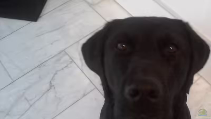 Userbild von Leni Zahn von Leni Zahn (5)