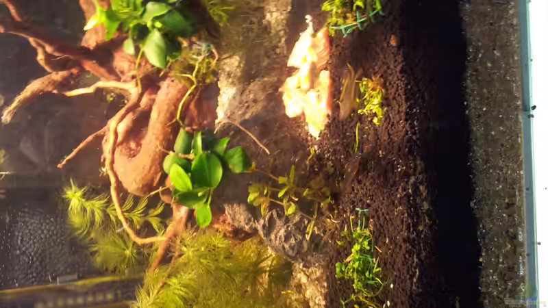 Userbild von leonard50 von leonard50 (3)