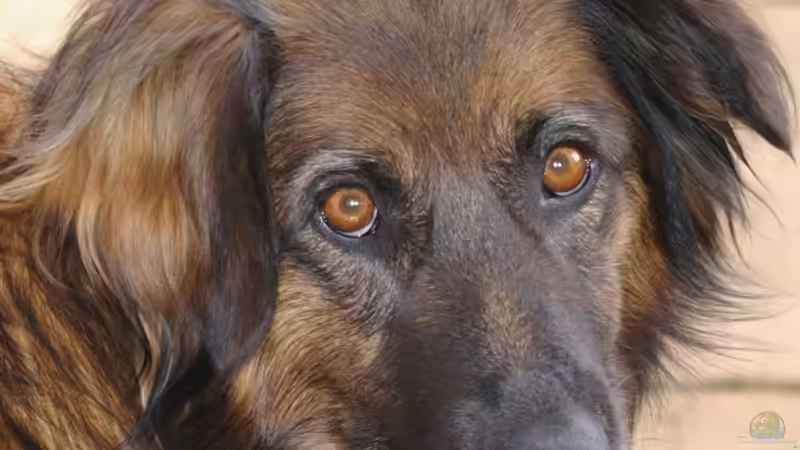 Userbild von Liane Stechert von Liane Stechert (10)