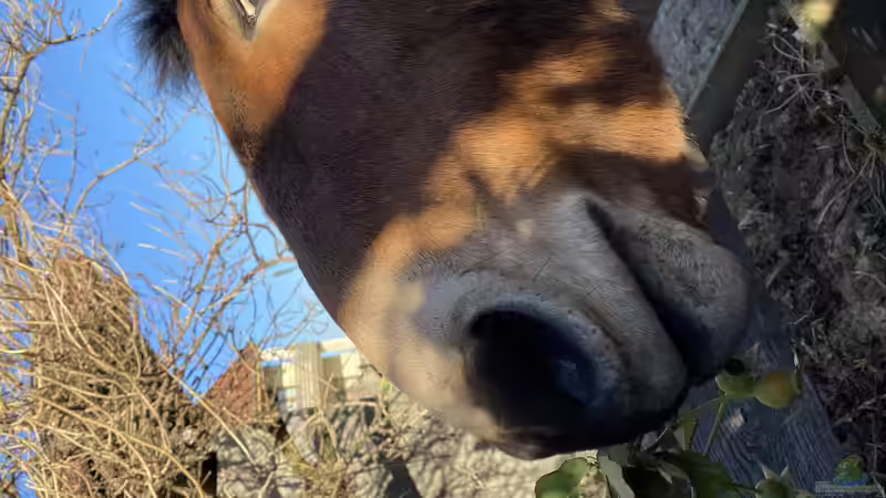 Userbild von Lina L. von Lina L. (22)