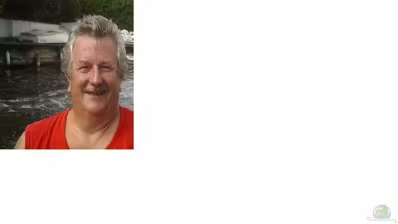 Userbild von lippfisch von lippfisch (59)