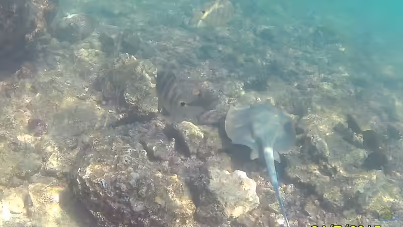 Userbild von Lippi von Lippi (38)