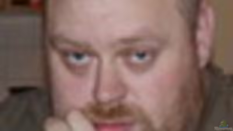 Userbild von lod von lod (42)