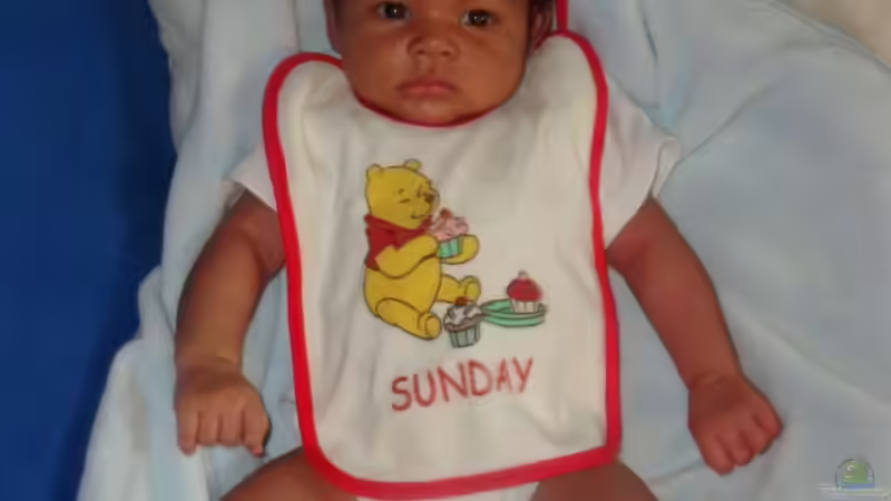 Userbild von lucky-luke.ch von lucky-luke.ch (4)