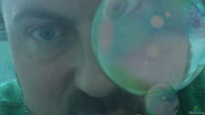 Userbild von Lukas &gt;&lt;°&gt; von Lukas &gt;&lt;°&gt; (26)