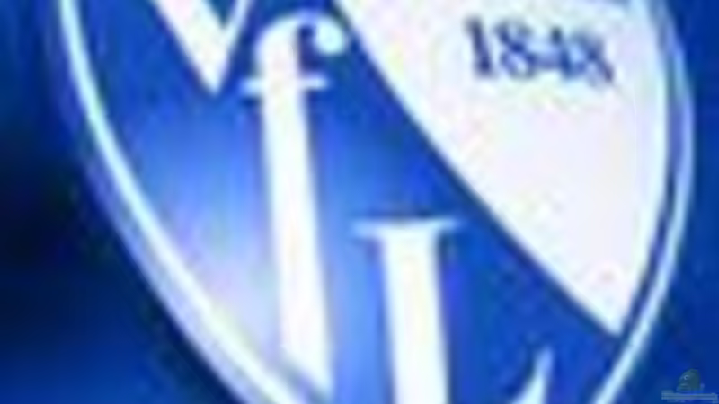 Userbild von Lukas Szewczyk von Lukas Szewczyk (36)