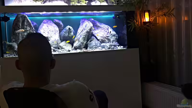 Userbild von LukW124 von LukW124 (36)