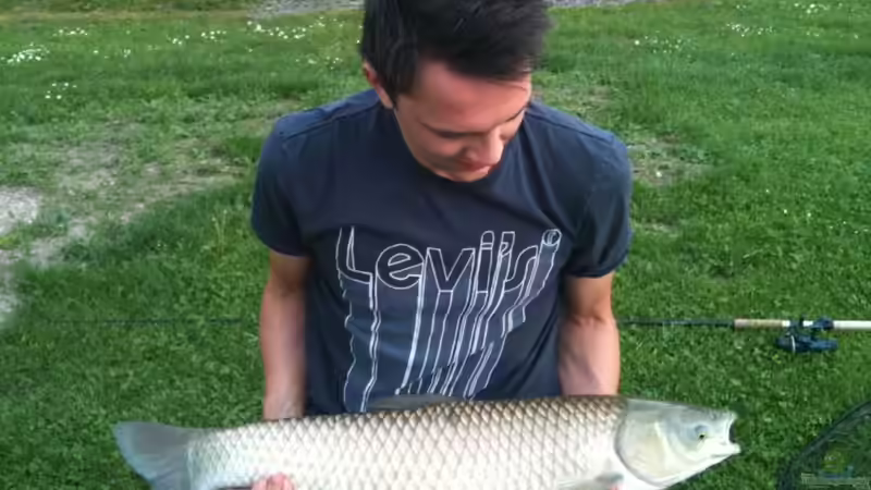 Userbild von lumpi von lumpi (17)