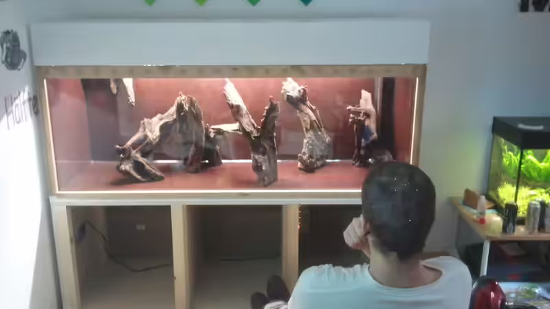 Userbild von Lykos von Lykos (18)