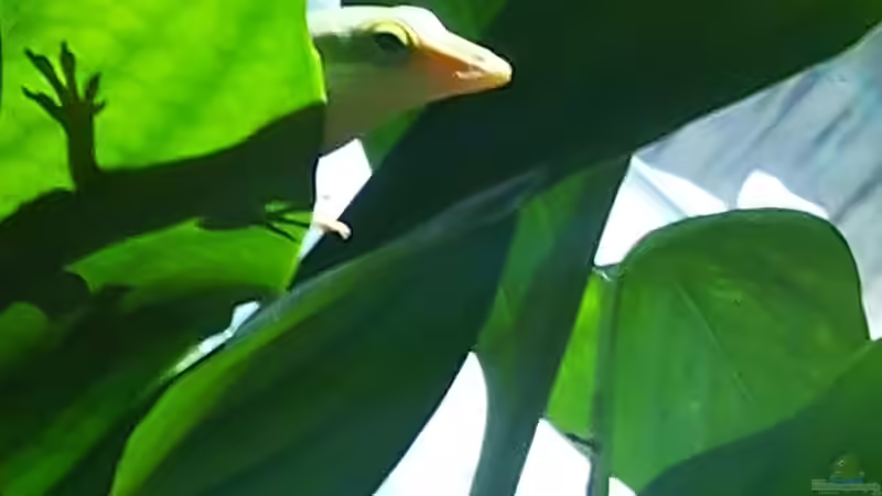 Userbild von M.G von M.G (19)