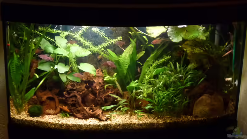 Userbild von Mad Max von Mad Max (20)