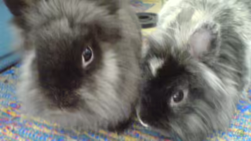 Userbild von maggo 28 von maggo 28 (51)