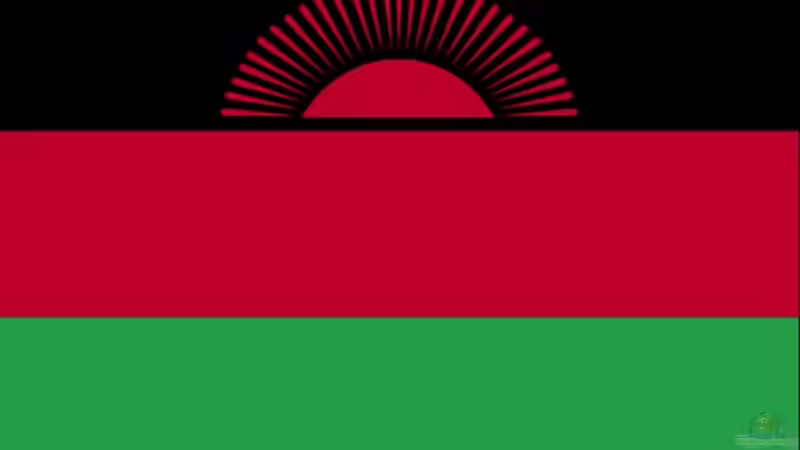 Userbild von Malawi TOM von Malawi TOM (75)