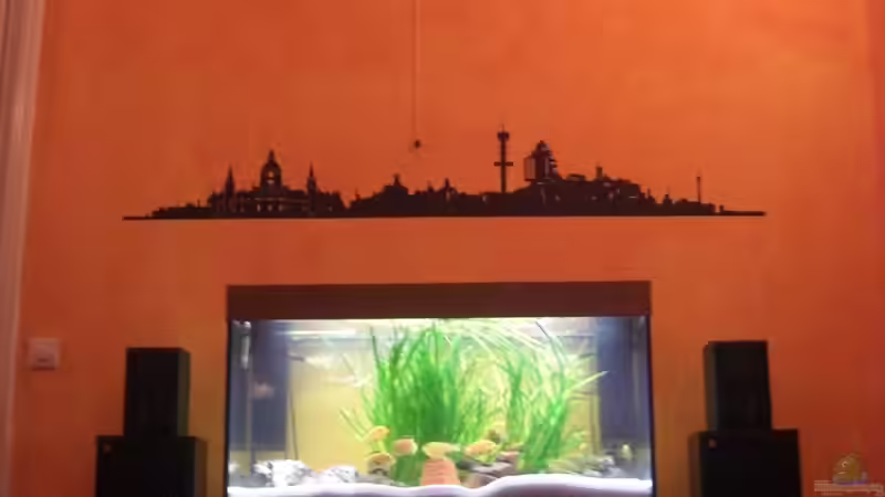 Userbild von Malawi United von Malawi United (2)