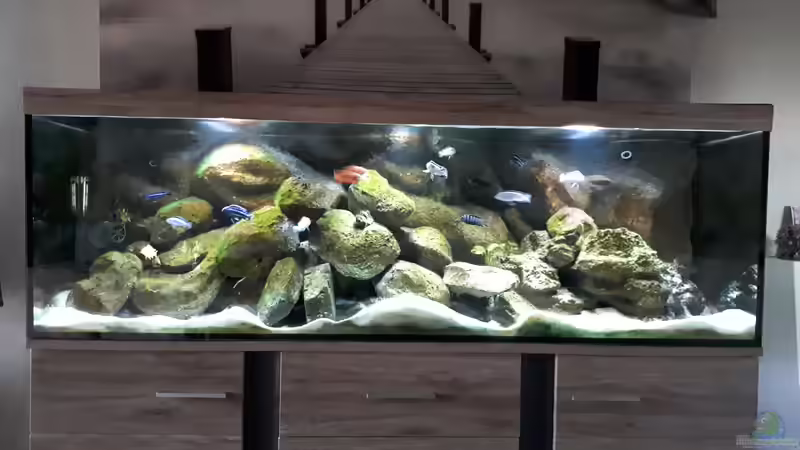 Userbild von Malawi22 von Malawi22 (19)