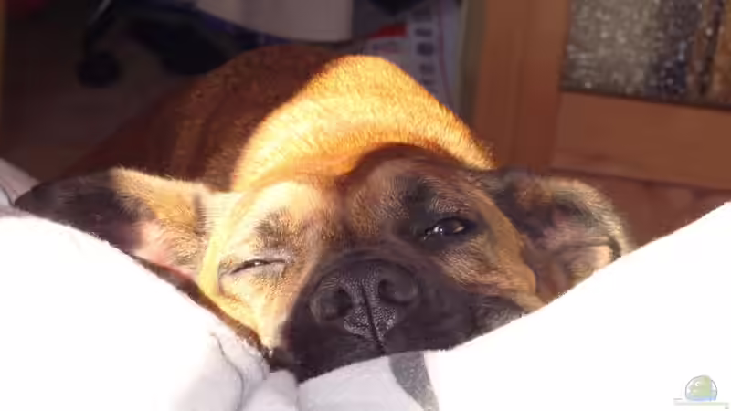 Userbild von malawi74 von malawi74 (45)