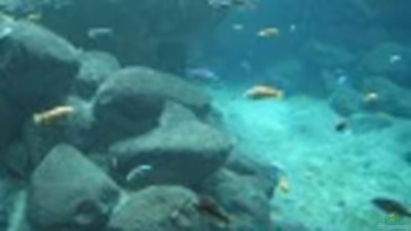 Userbild von Maliza von Maliza (2)