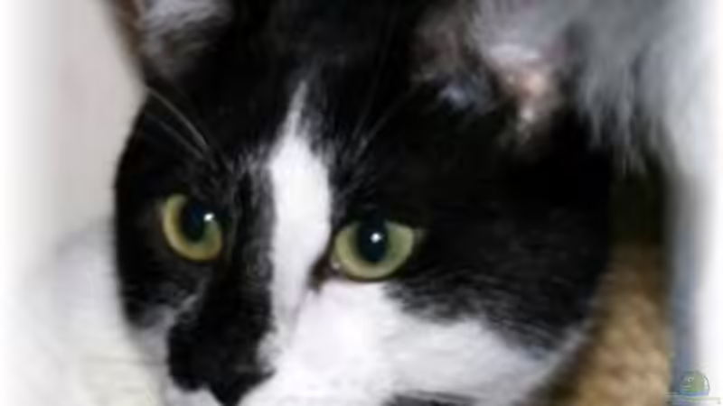 Userbild von Mandy Henschel von Mandy Henschel (22)