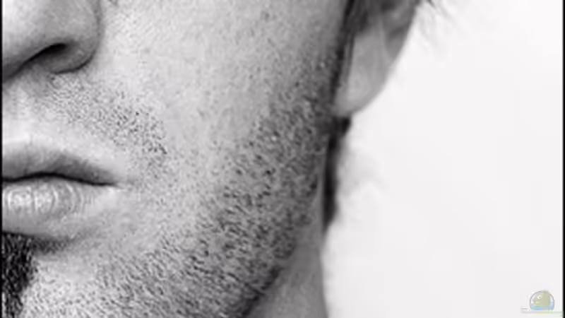 Userbild von maniK von maniK (6)