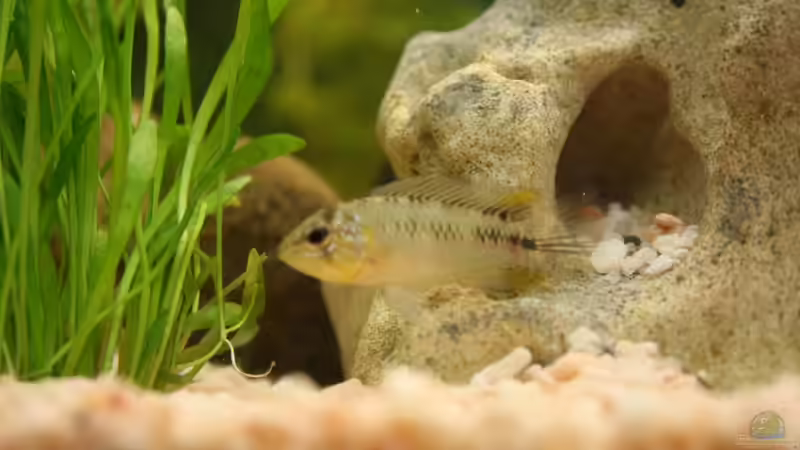 Userbild von Manuel Eysoldt von Manuel Eysoldt (2)