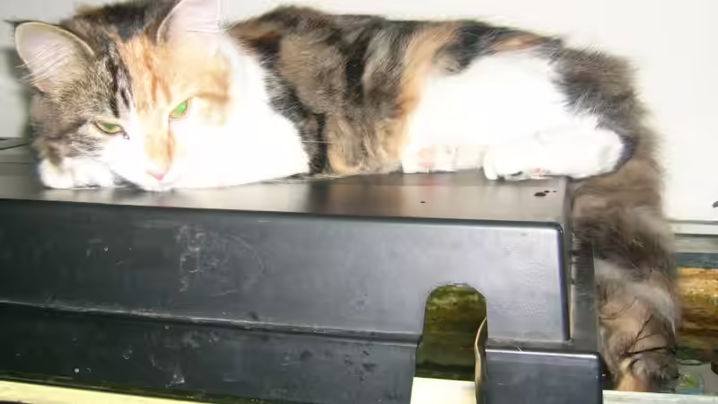 Userbild von Manuela Kutschke von Manuela Kutschke (15)