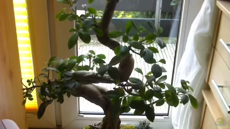 Userbild von Marc Joist von Marc Joist (20)