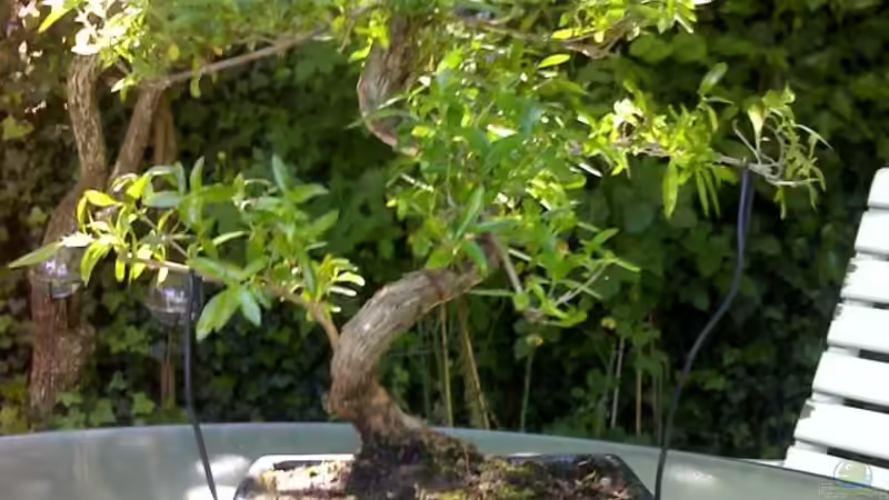 Userbild von Marc Joist von Marc Joist (22)