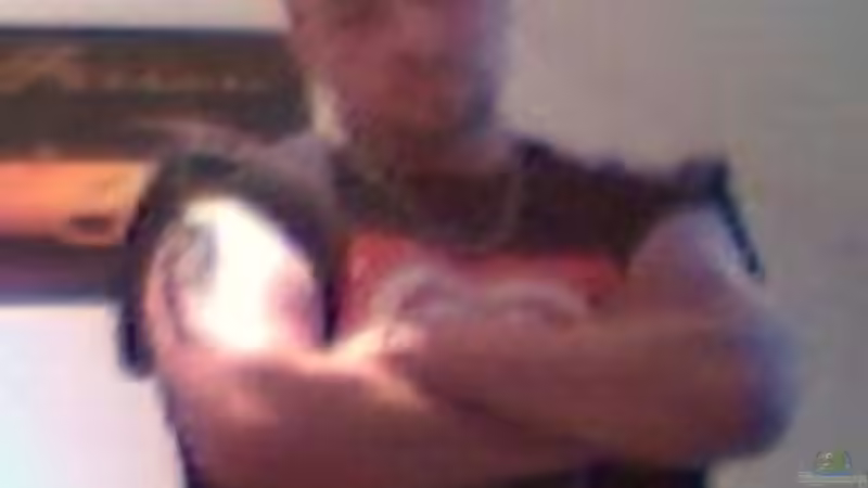 Userbild von MarcD von MarcD (10)