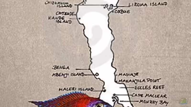 Userbild von Marcel. von Marcel. (7)