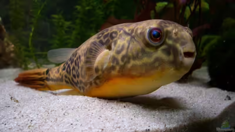 Userbild von Marcel Stober von Marcel Stober (12)