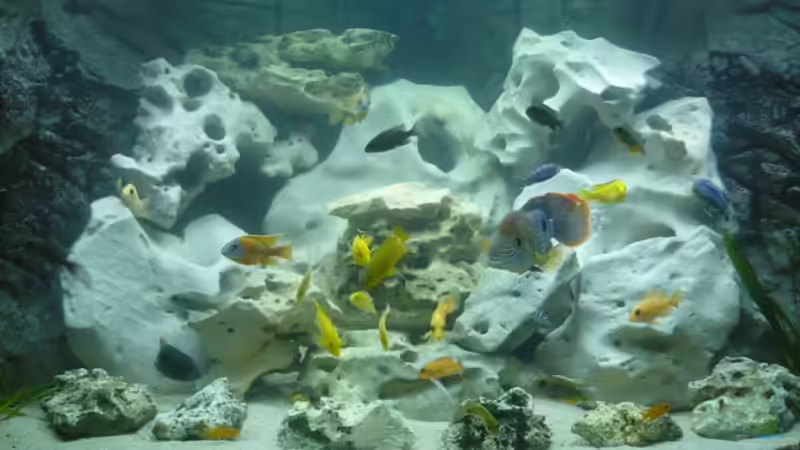 Userbild von Marco123 von Marco123 (2)