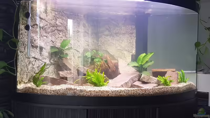 Userbild von Marcus Mischer von Marcus Mischer (5)