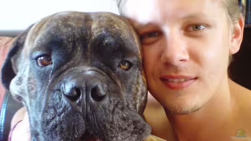 Userbild von Mario_83 von Mario_83 (13)