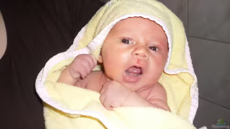 Userbild von Mario Coordes von Mario Coordes (16)