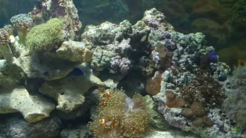 Userbild von Mario Dorner von Mario Dorner (36)