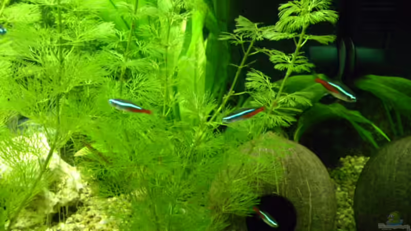 Userbild von Mario Hey von Mario Hey (7)